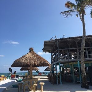 Meet your Posher, Ashlyn